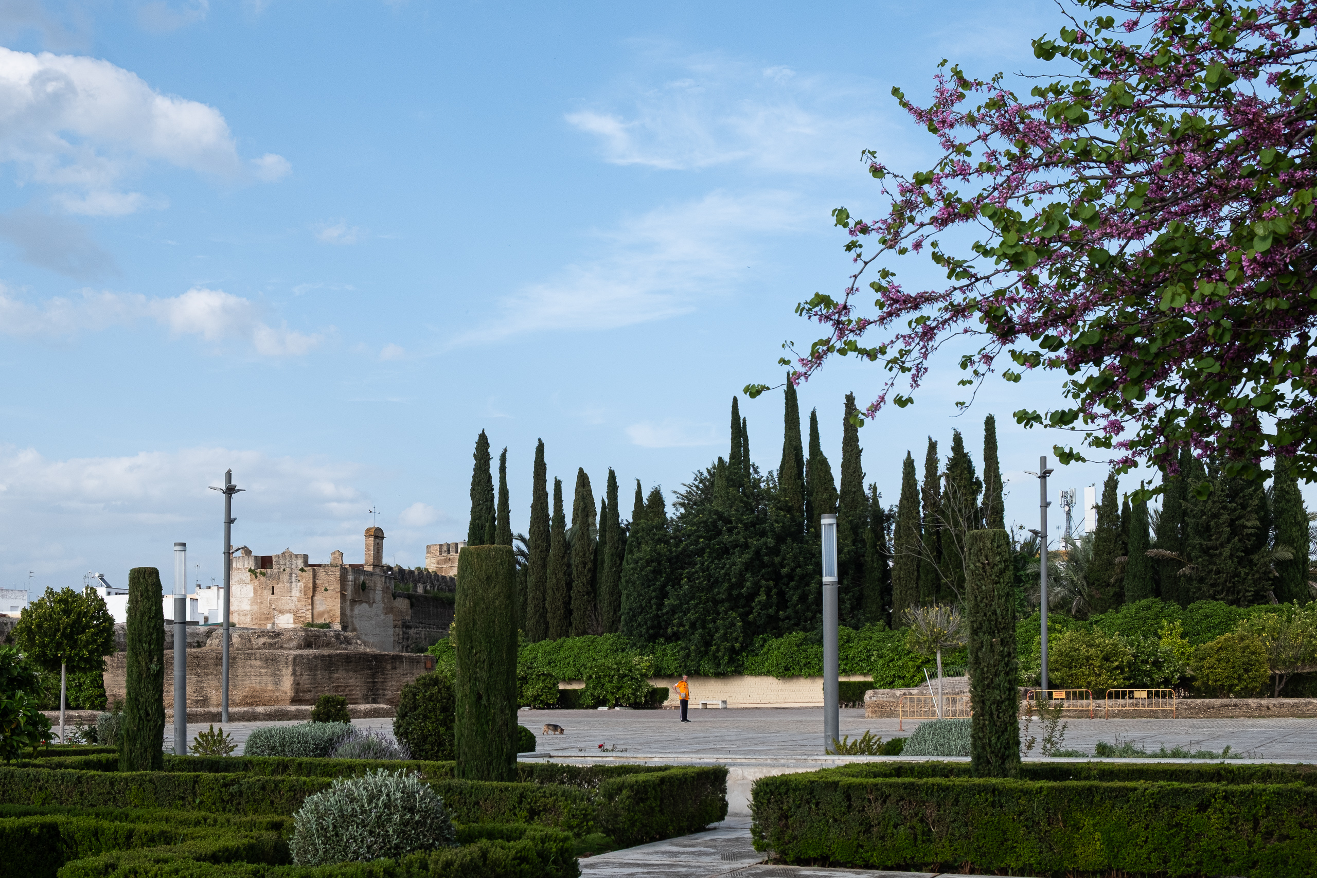Parkanlage mit Burg-Ruine im Hintergrund